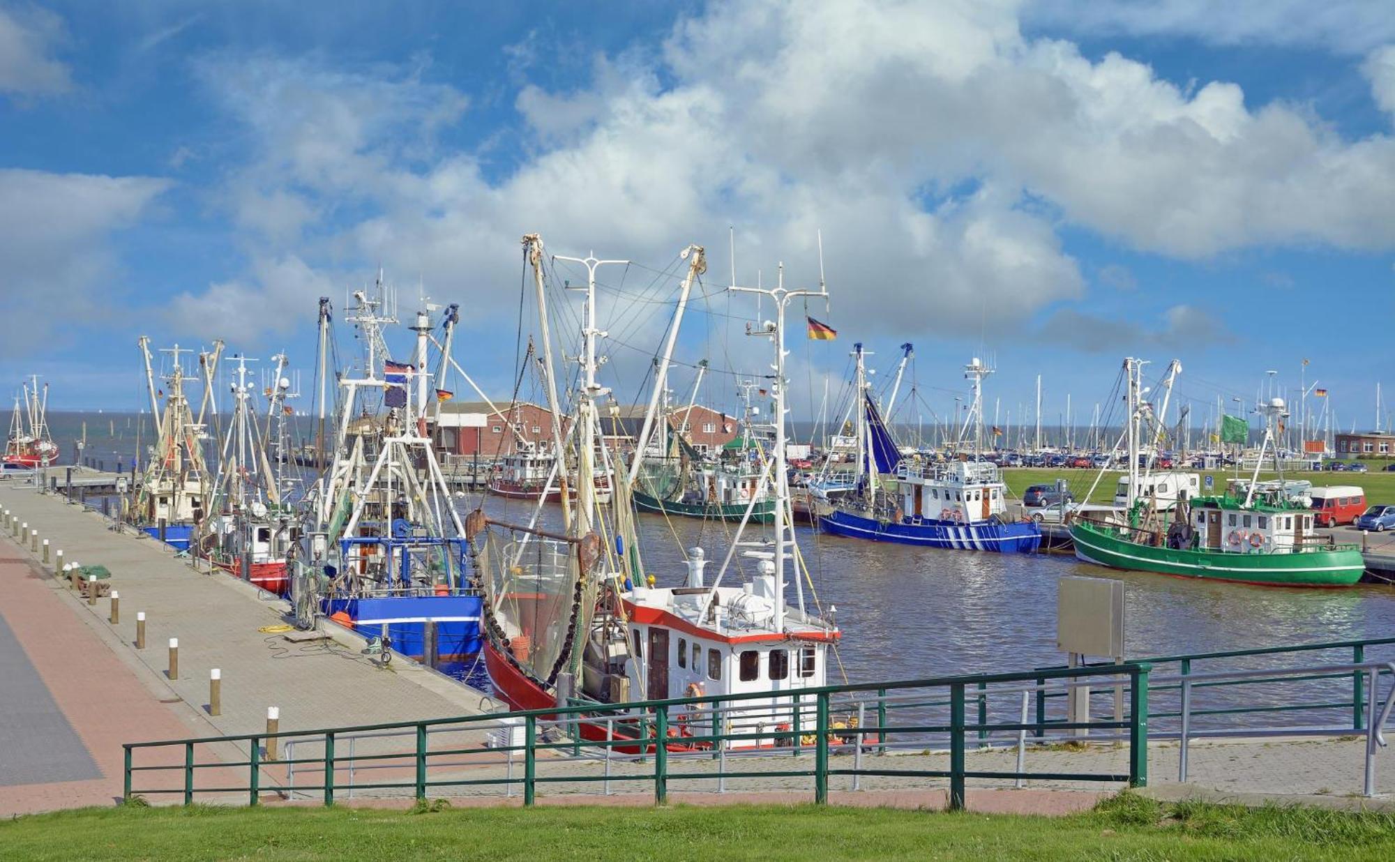 Ferienhaus Hornhecht Dornumersiel Eksteriør billede